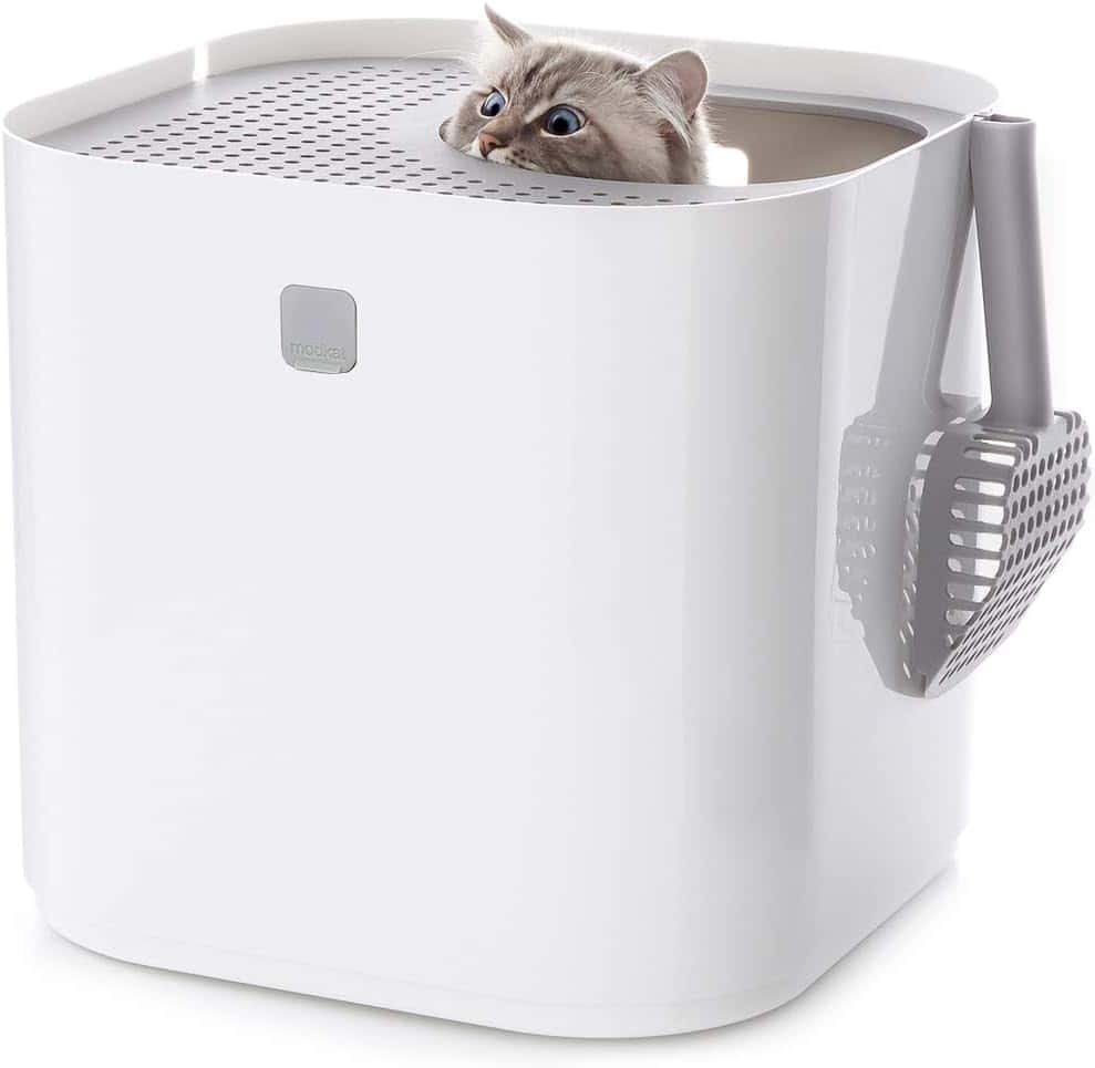 Modkat modern top-entry litter box in a minimalist apartment