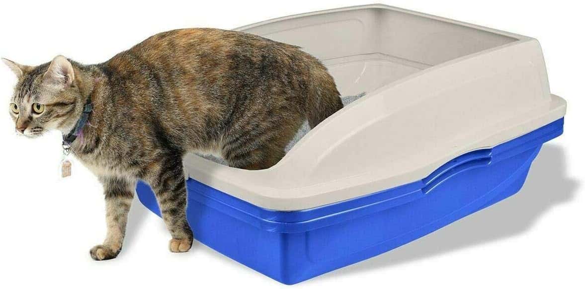 Van Ness sifting litter box in a small apartment bathroom