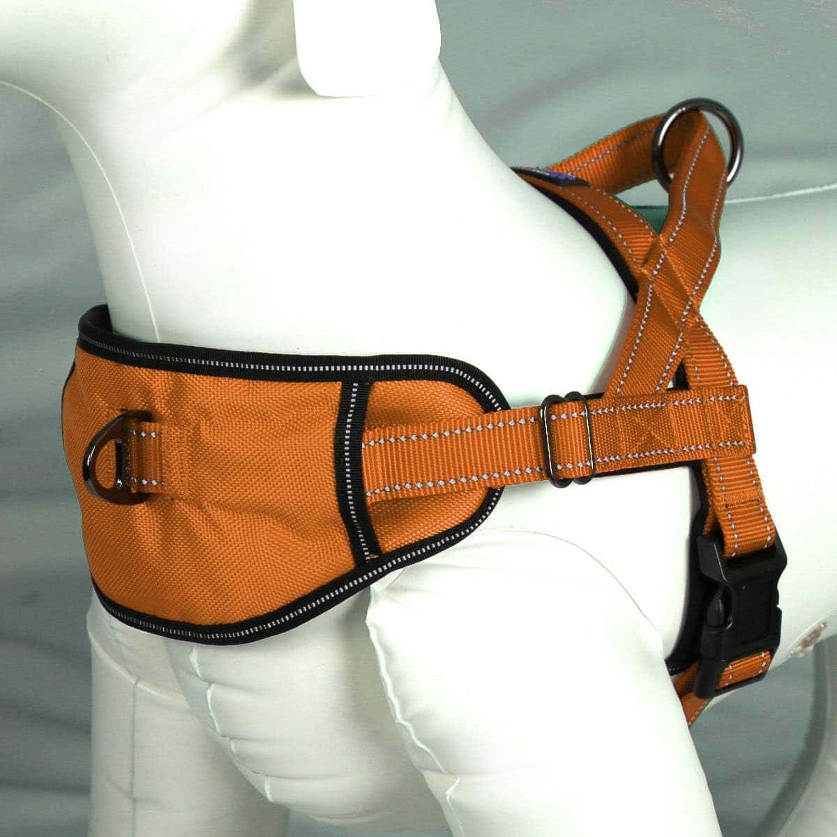 Max and Neo Passport reflective dog harness for safety and visibility