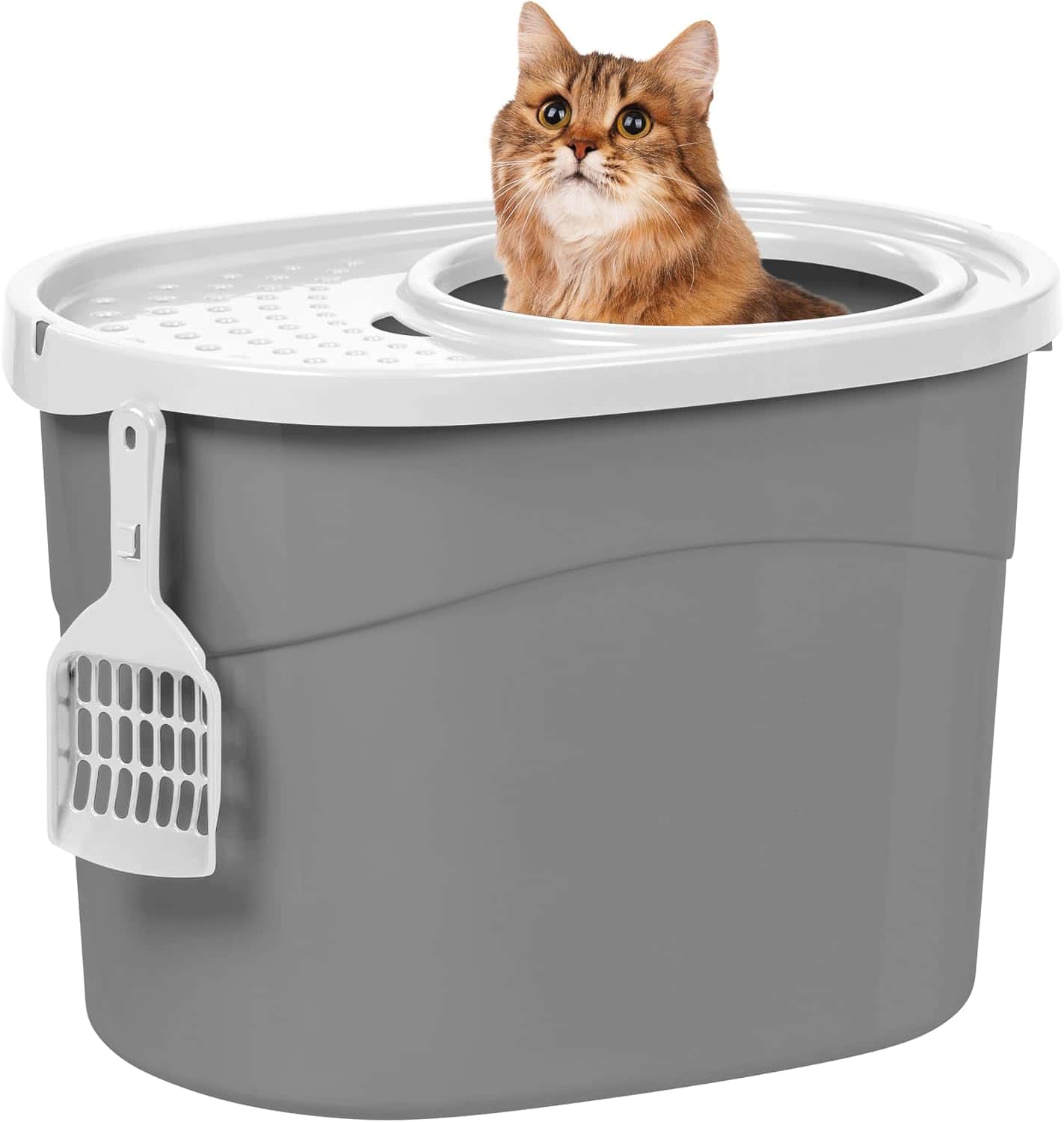IRIS top entry litter box in a small apartment bathroom corner