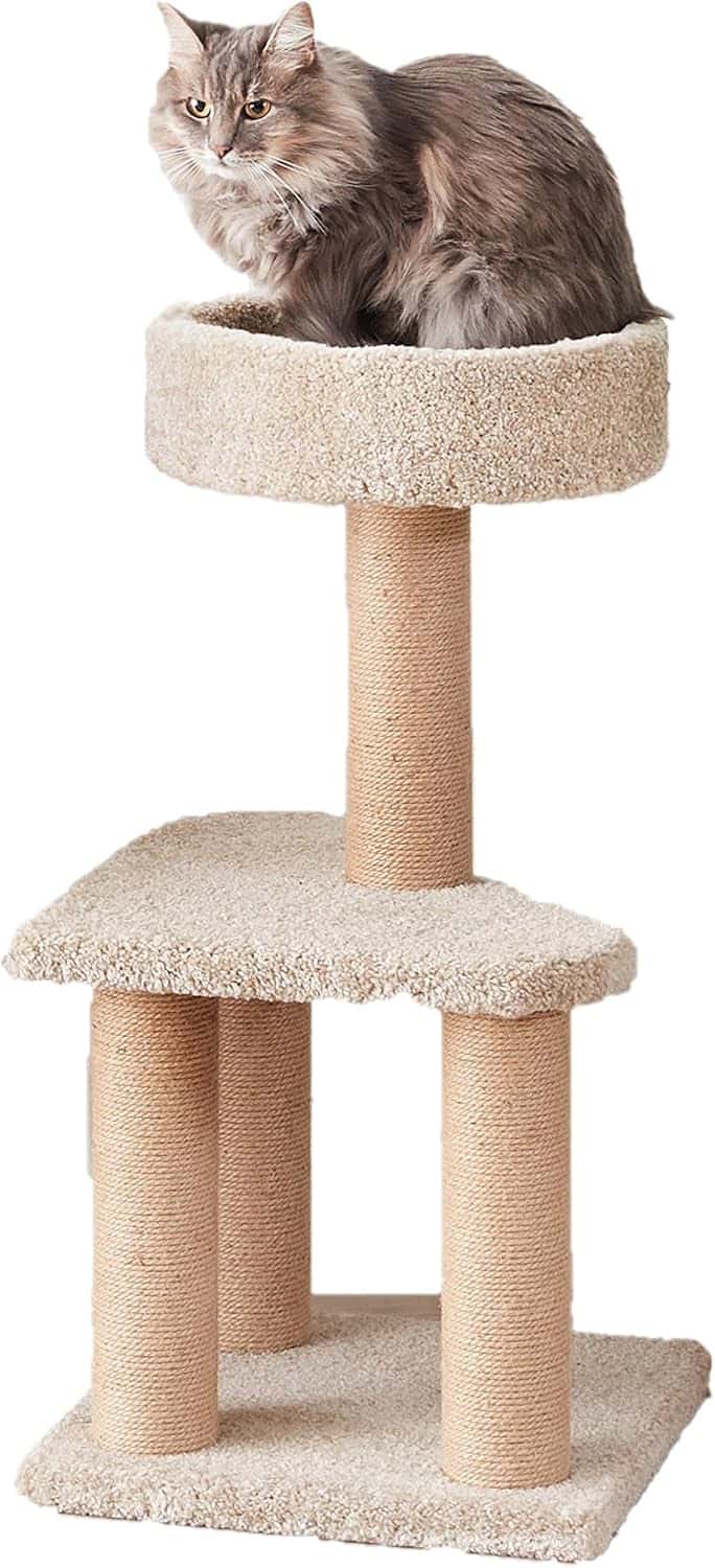 Amazon Basics cat tree medium with multi-level climbing activity tower and scratching posts