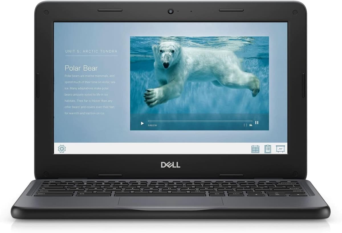 Dell Chromebook 11 3100 11.6" Chromebook - 1366 x 768 - Celeron N4020-4 GB RAM - 16 GB Flash Memory - Chrome OS - Intel HD Graphics - English (US) Keyboard - Bluetooth (Renewed)