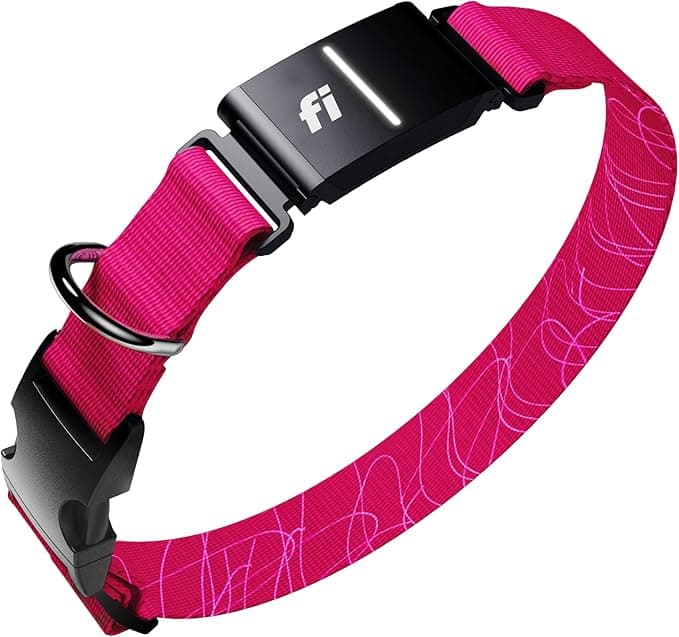 Fi Series 3+ Smart Dog Tracker Collar (Graphite)