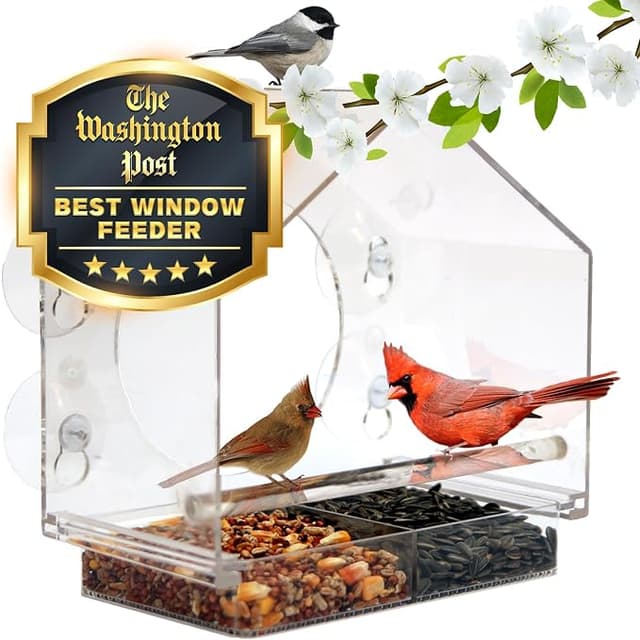 Nature Anywhere Window Bird Feeder – Transparent Acrylic with Enhanced Suction Grip