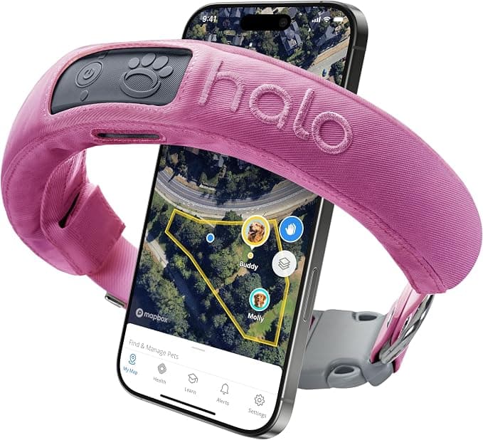 Halo Collar 3 (Orchid)