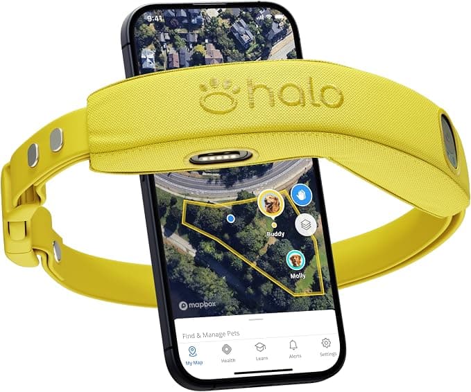 Halo Collar 4 (Sunburst)