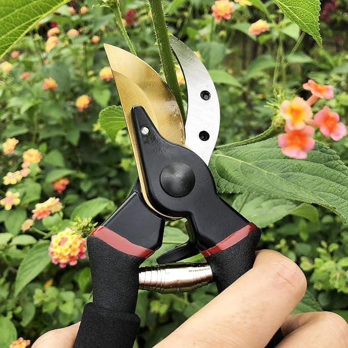 gonicc 8" Professional Premium Titanium Bypass Pruning Shears (GPPS-1003), Hand Pruners, Garden Clippers - Pruning Tools gardening gift