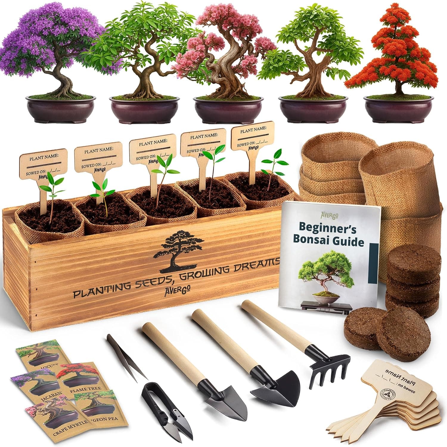 Avergo bonsai kit contents including pots, tools, and seeds on a table