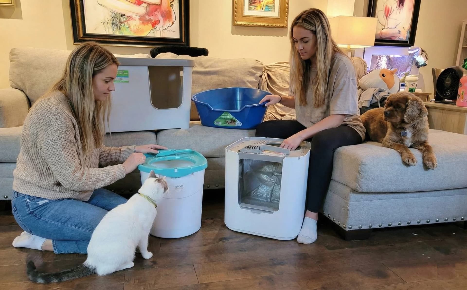 Best Cat Litter Boxes for Small Apartments: Space-Saving Guide 2026