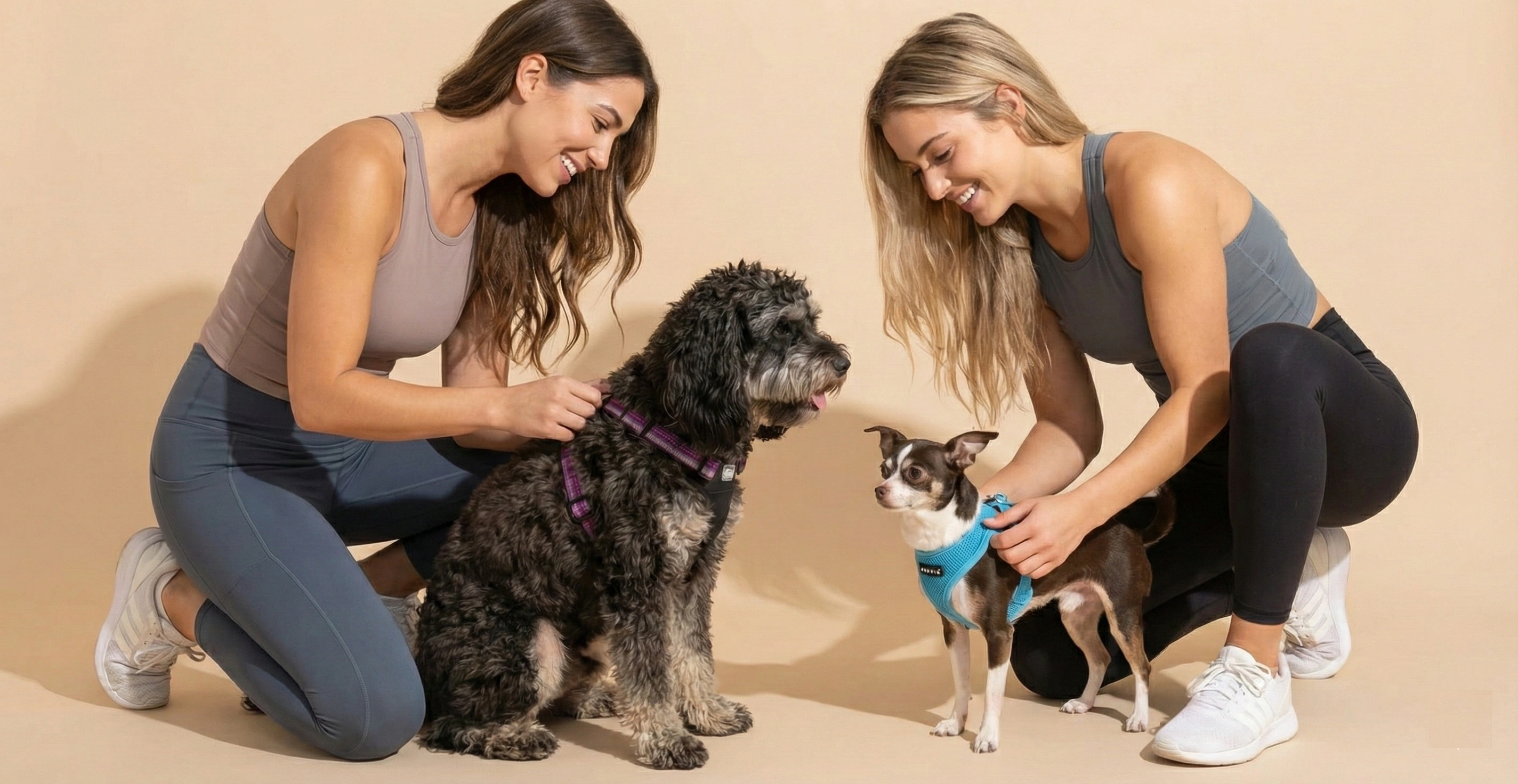 Best dog uses for pulling training - complete guide